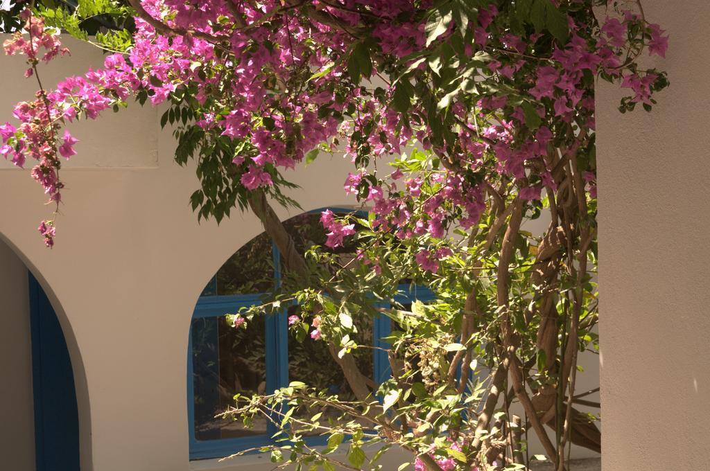 Paşalimanı Otel Çeşme Dış mekan fotoğraf